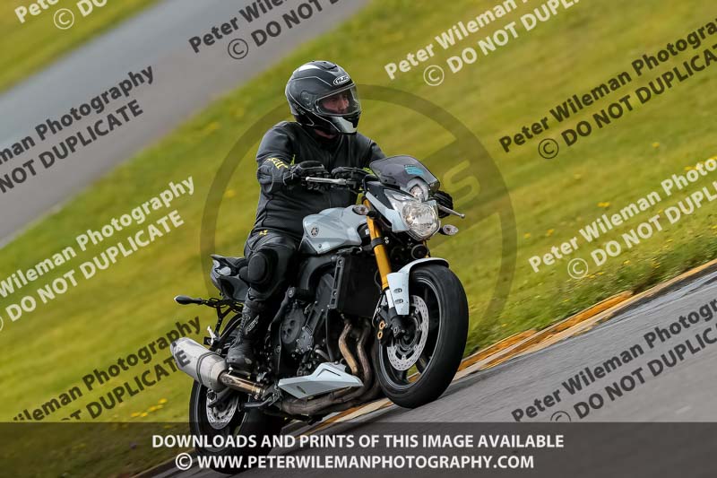 PJ Motorsport 2019;anglesey no limits trackday;anglesey photographs;anglesey trackday photographs;enduro digital images;event digital images;eventdigitalimages;no limits trackdays;peter wileman photography;racing digital images;trac mon;trackday digital images;trackday photos;ty croes